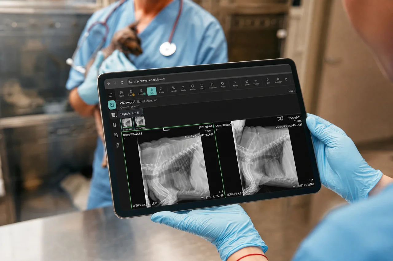 Veterinarian reviewing x-rays on a tablet